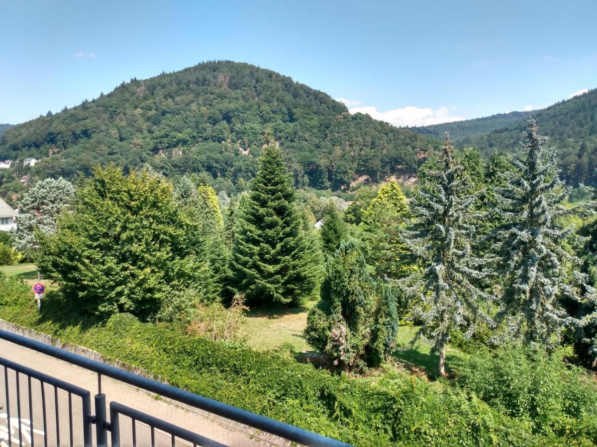 Hotel Zum Neckartal Heidelberg Bagian luar foto